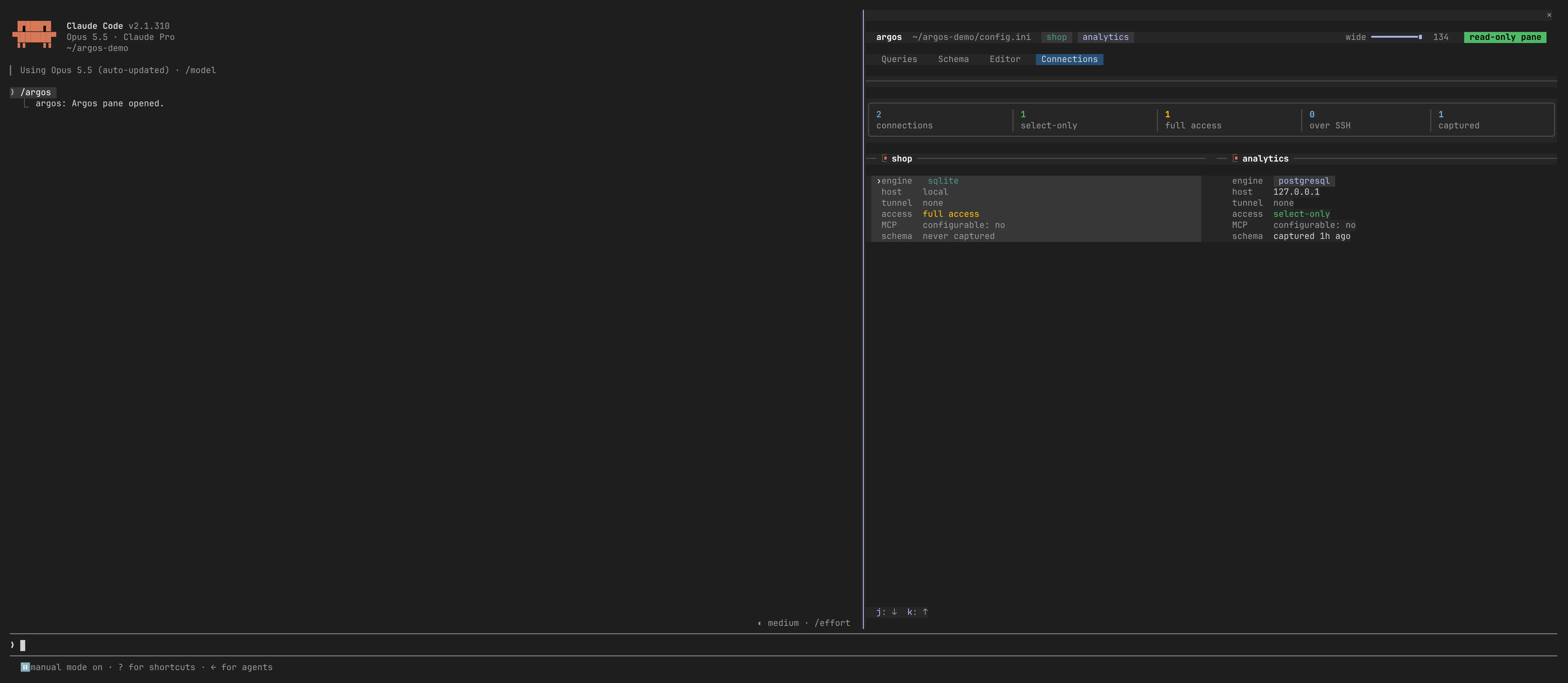 Connections tab with one card per database showing engine, host, tunnel, access and schema age